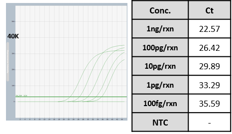 Accupower Neisseria Gonorrhoeae Real Time Pcr Kit