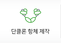 단클론 항체 제작