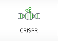 CRISPR