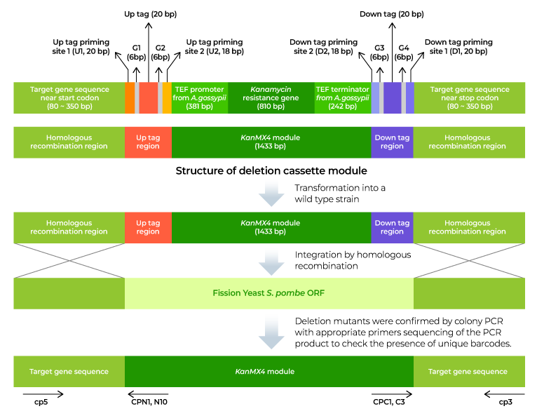 figure1